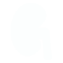 urologia
