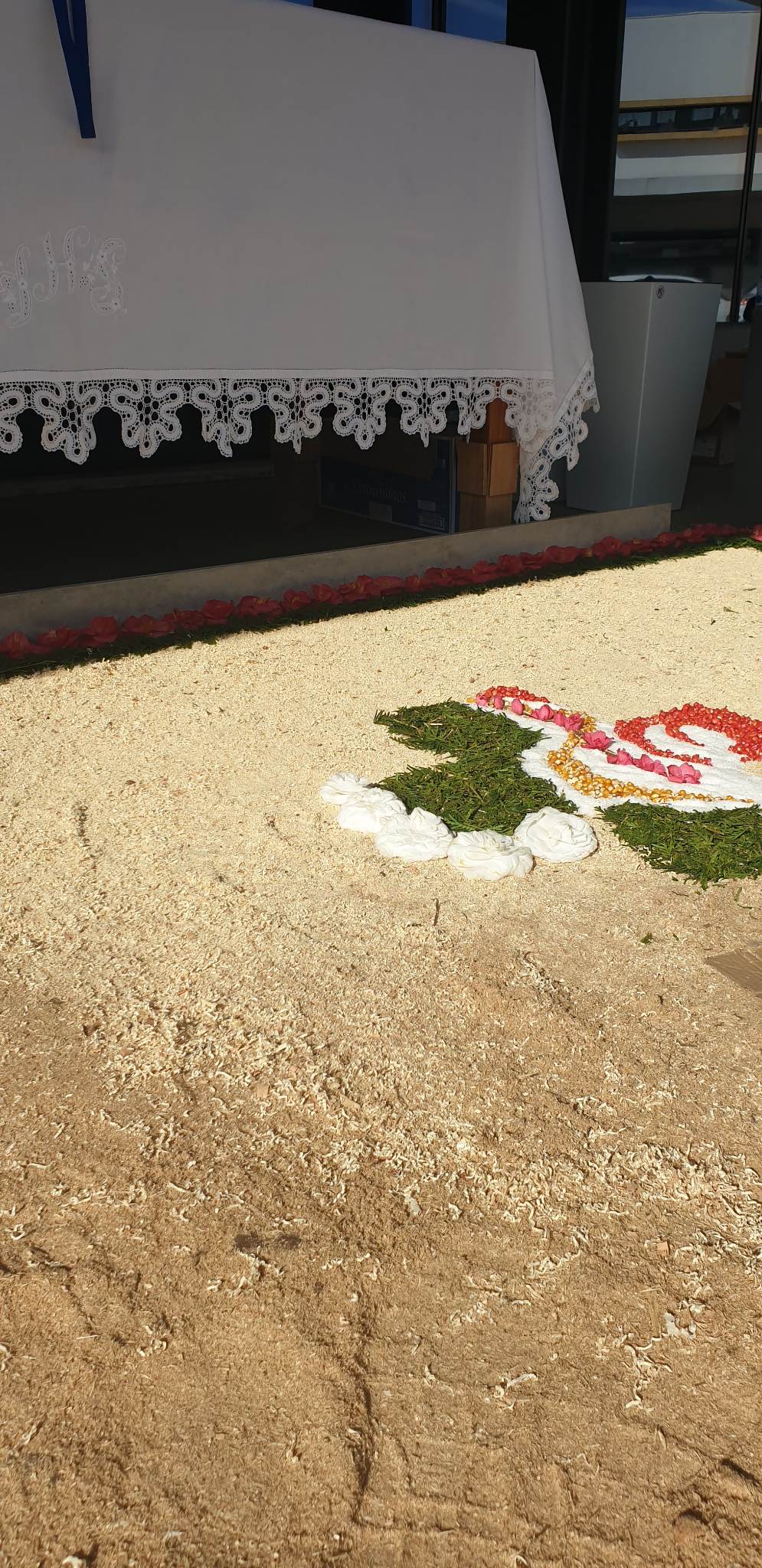 330885953_1305453946669173_168705009792538034_n